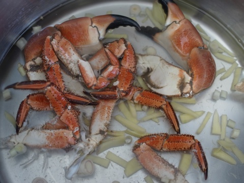 crab12.1-tm