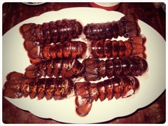 lobster-tm