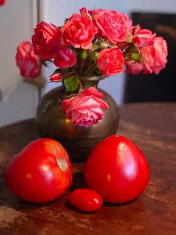 roses and tomatoes